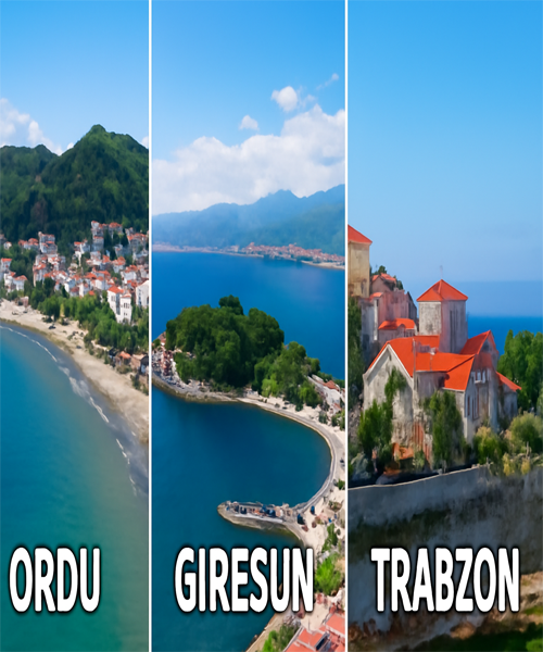 İstanbul'dan Ordu Giresun Trabzon Nakliyat